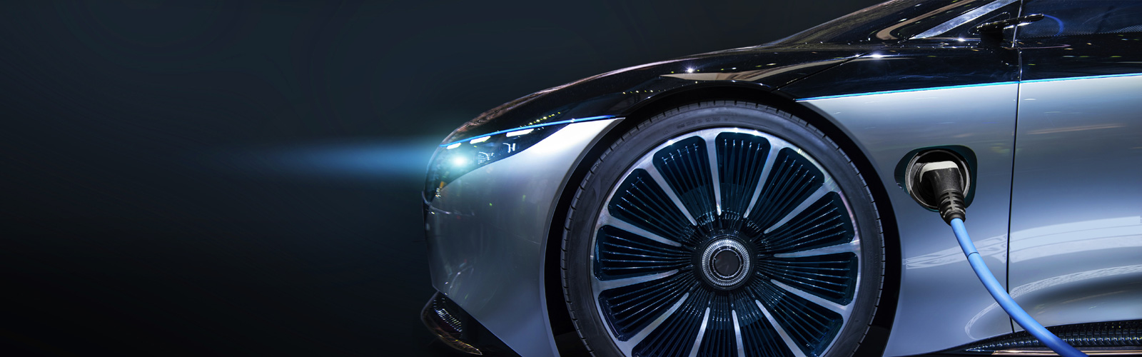 Evolution Sustainable Industries