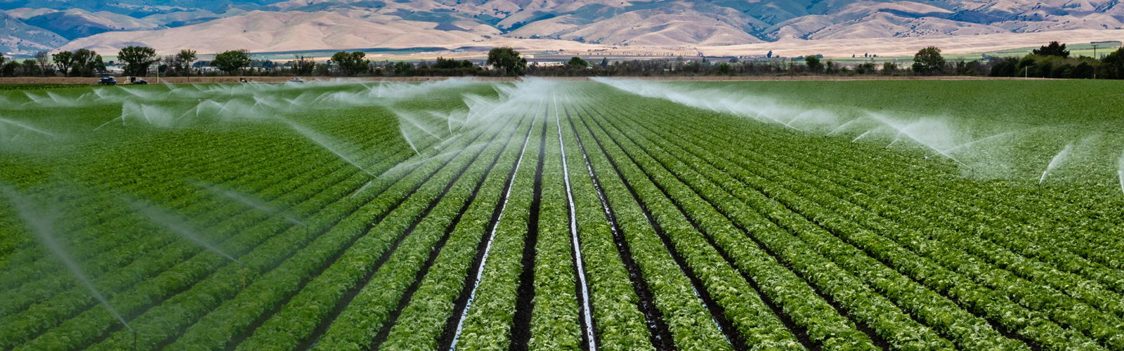 Evolution Sustainable Industries